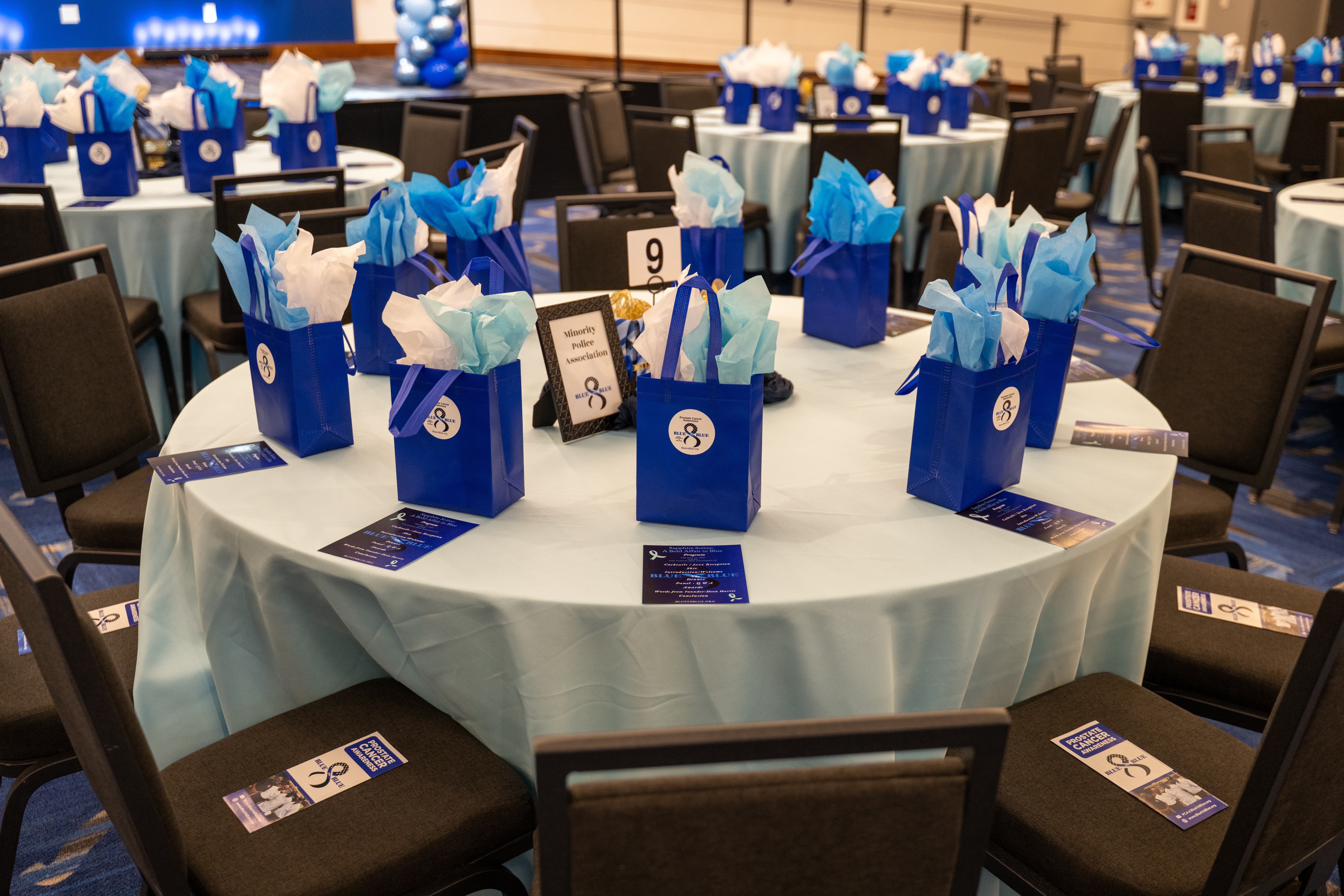 2nd Annual Sapphire Soiree: A Blue Tie Affair